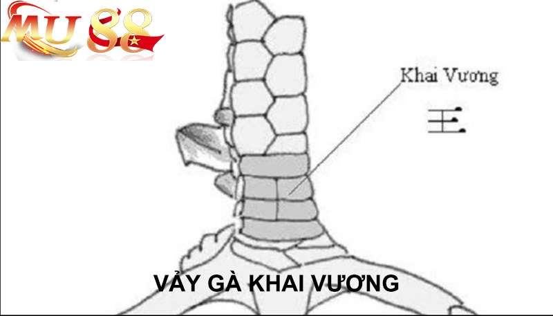 vảy gà khai vương